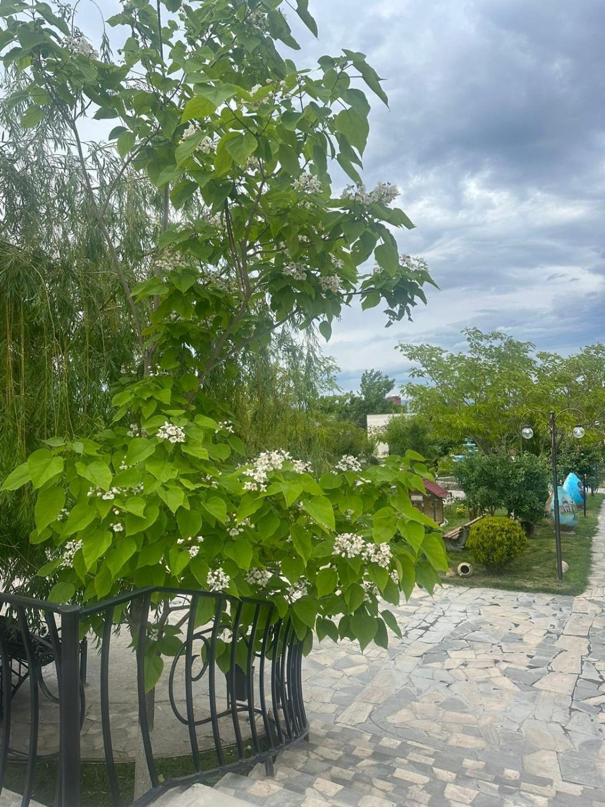 Ralina Restaurant And Hotel Ararat Exterior photo